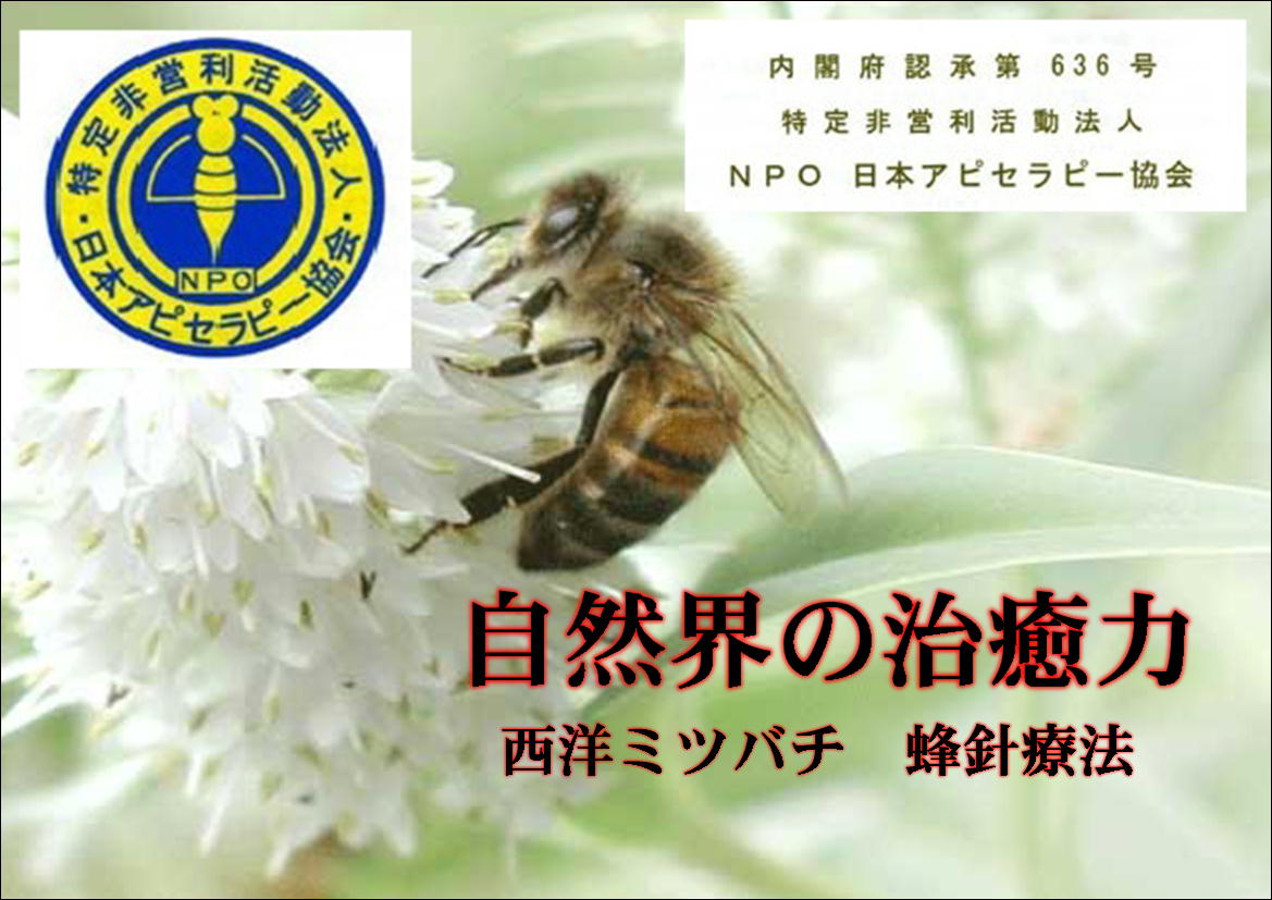内閣府認証　第６３６号　特定非営利活動法人　(NPO) 日本アピセラピー協会のホームページへようこそ！ 